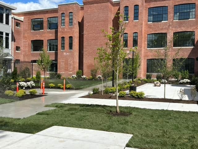 Commercial Landscape Design — photo 3