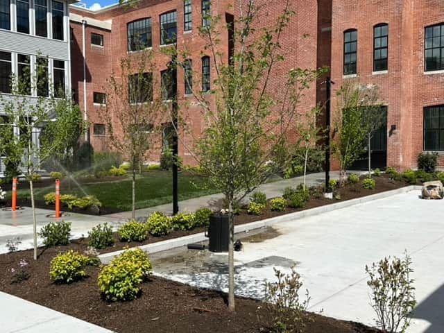 Commercial Landscape Design — photo 4