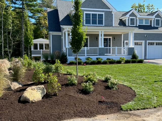 Essential Front Landscape with Garden Beds — photo 2